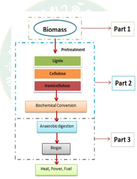 Figure 19 The process of biogas production 