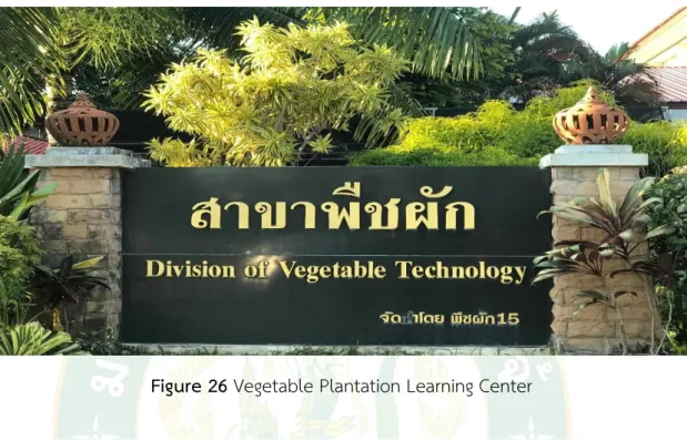 Figure 26 Vegetable Plantation Learning Center 
