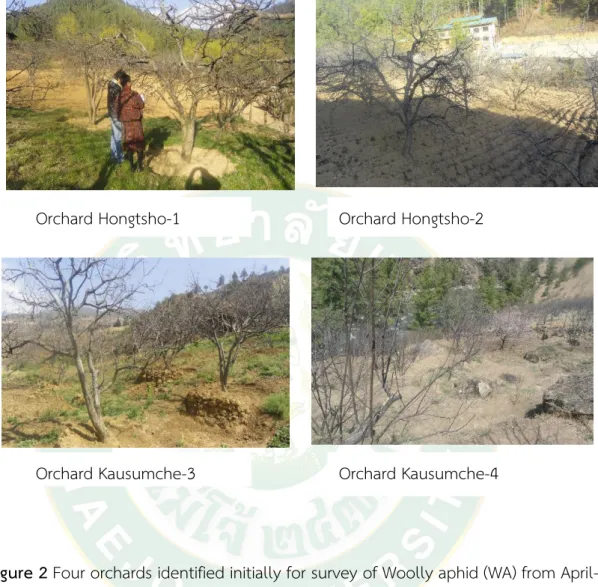 Figure 2 Four orchards identified initially for survey of Woolly aphid (WA) from April- April-October, 2018 
