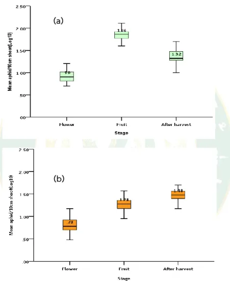 Figure 8 Boxplot distribution of aphid population at different stages in orchard          a) Hongtsho2, and b) Kausumche3 from April-October 2018 