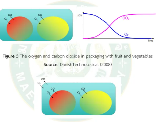 Figure 5 The oxygen and carbon dioxide in packaging with fruit and vegetables  Source: DanishTechnological (2008) 