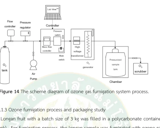Figure 14 The scheme diagram of ozone gas fumigation system process. 