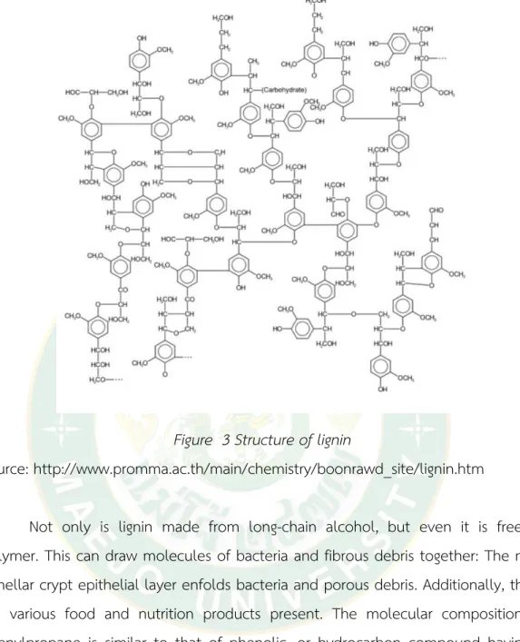 Figure  3 Structure of lignin 