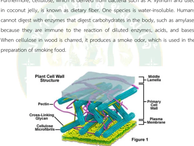 Figure  6 shows a plant cell wall structure consisting of cellulose and pectin. 