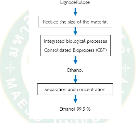 Figure  10 shows the fermentation process for lignocellulose materials in an  integrated bio-process