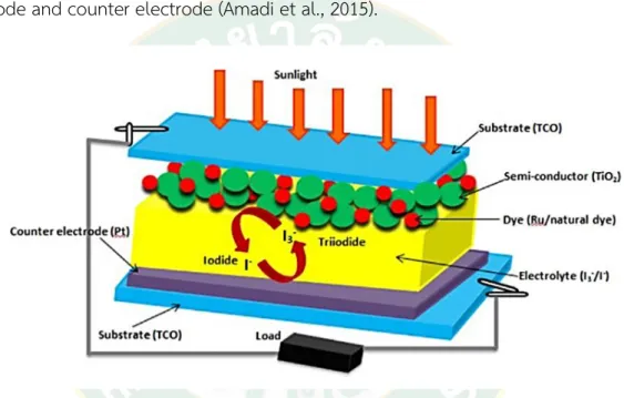 Figure  1 Structure of dye-sensitized solar cell (Roslan et al., 2018)    2.2.1.1 Photo-electrode 