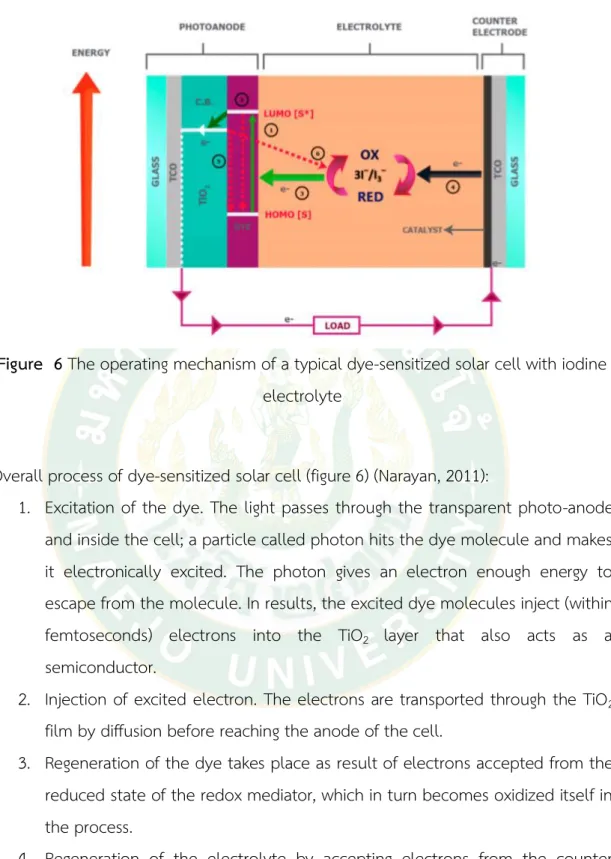 Figure  6 The operating mechanism of a typical dye-sensitized solar cell with iodine  electrolyte 