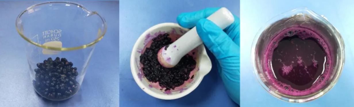Figure  18 Raw materials are washed, dried at room temperature then weighed (left),  then crushed with mortar and pestle (middle), mix with solvent (right) 