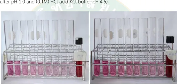 Figure  20 Diluted with  HCl acid-KCL buffer pH 1.0 (left), Acetic acid-sodium acetate  buffer pH 4.5 (right) 