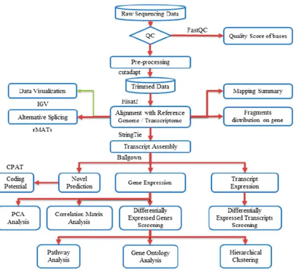 Figure 8 Workflow of bioinformatics analysis for transcriptome (Gopalakrishnan and  Kumar, 2020)