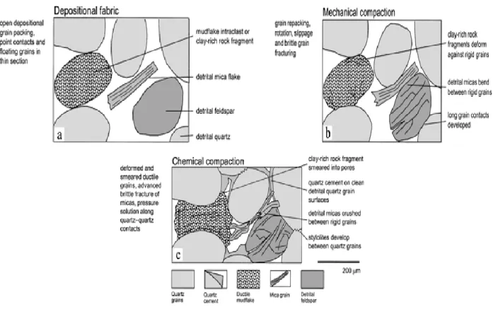 Figure 2.2 illustration of compaction processes (a) sediment that undergoes deposition,  (b)  the sediment structure after mechanical compaction, ( c)  after mechanical  and chemical compaction (Worden and Burley, 2003)