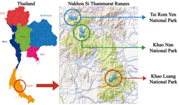 Figure 1.  Map of study sites at Nakhon Si Thammarat Ranges, in Tai Rom Yen, Khao  Nan and Khao Luang National Parks