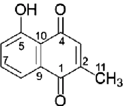 Figure  16. Chemical structure of plumbagin (1) 