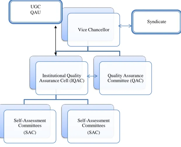 Figure 2: The relational structure of the IQAC, Syndicate, QAC and the QAU 
