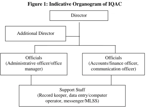 Figure 1: Indicative Organogram of IQAC  Director  