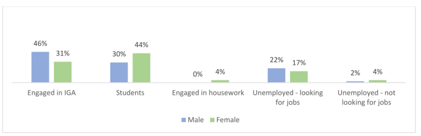 Figure 29: Gendered Distribution of Main Occupational Status 