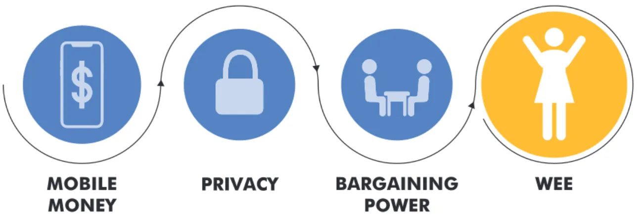 Figure 3.  Example of Causal Chain: Privacy of InformationThe study also shows that women with lower 