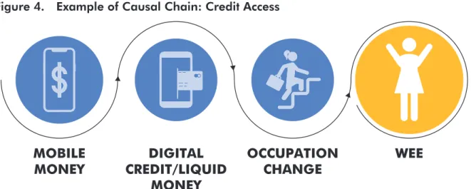 Figure 4.  Example of Causal Chain: Credit Access