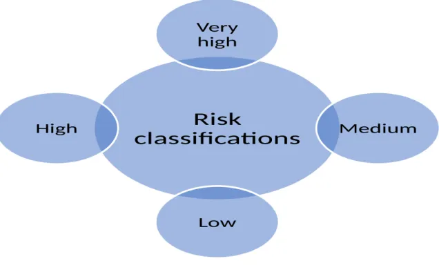 Figure 5- 9 Risk classifications