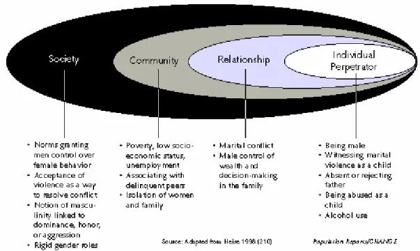 Figure 3.2:  Ecological Model of Factors Associated with Violence against Women 