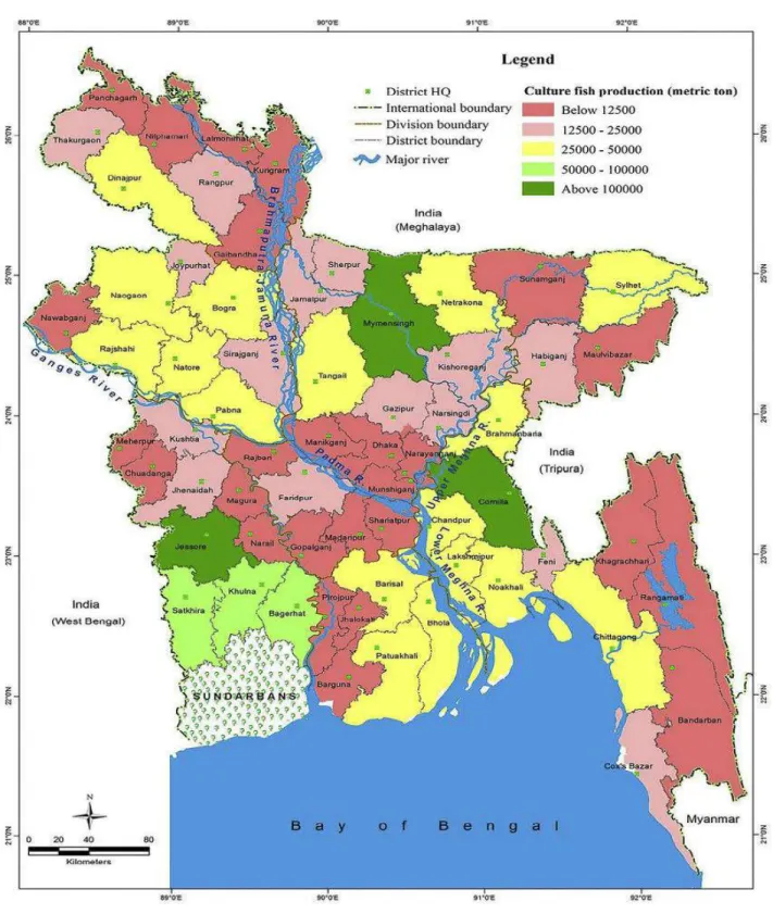 Figure 4.2: Culture fish production in Bangladesh 