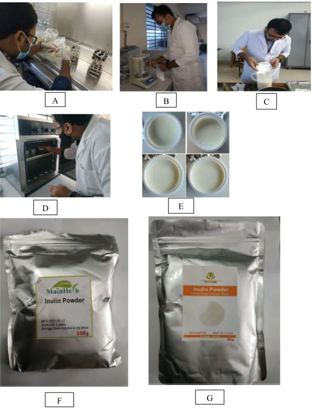 Figure 7. Development of low-fat yogurt using fat replacer (inulin)  (A) Culture in broth, (B) Measuring the inulin powder, (C) Inulin addition in milk, 