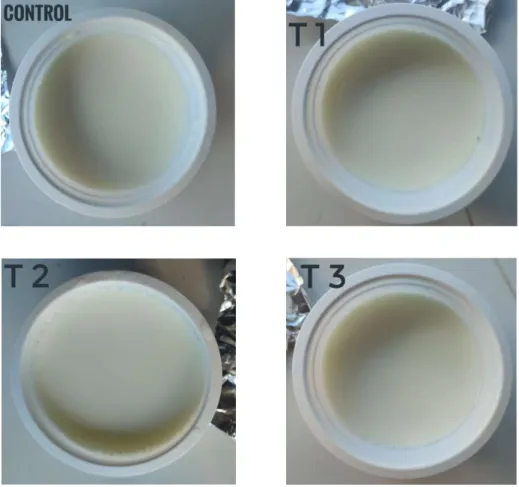 Figure 9. Developed low-fat yogurt using fat replacer (Inulin) 