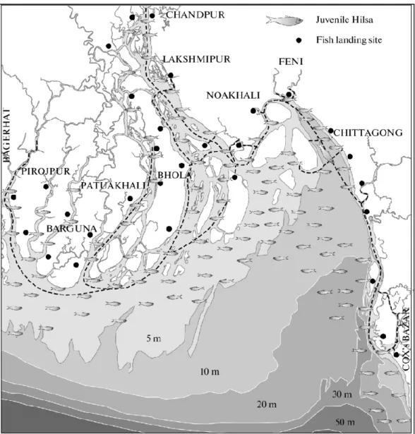 Fig. 03: Distribution of juvenile Hilsa in the rivers, eatuaries, and coastal waters  of Bangladesh (Hossain et al., 2014) 