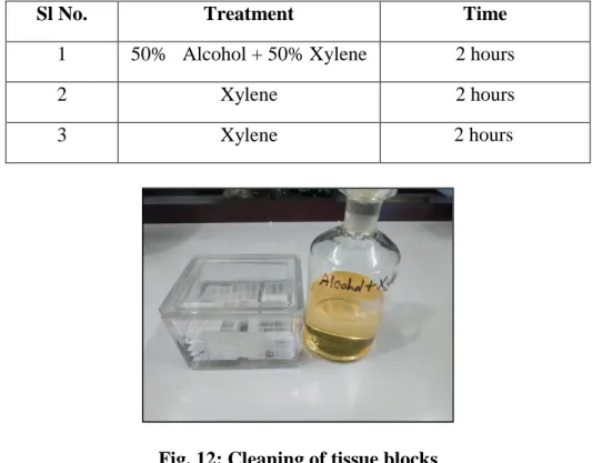 Fig. 11: Dehydration of tissue blocks in alcohol 