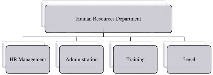 Figure 1: Primary Hierarchy of Human Resources Department 