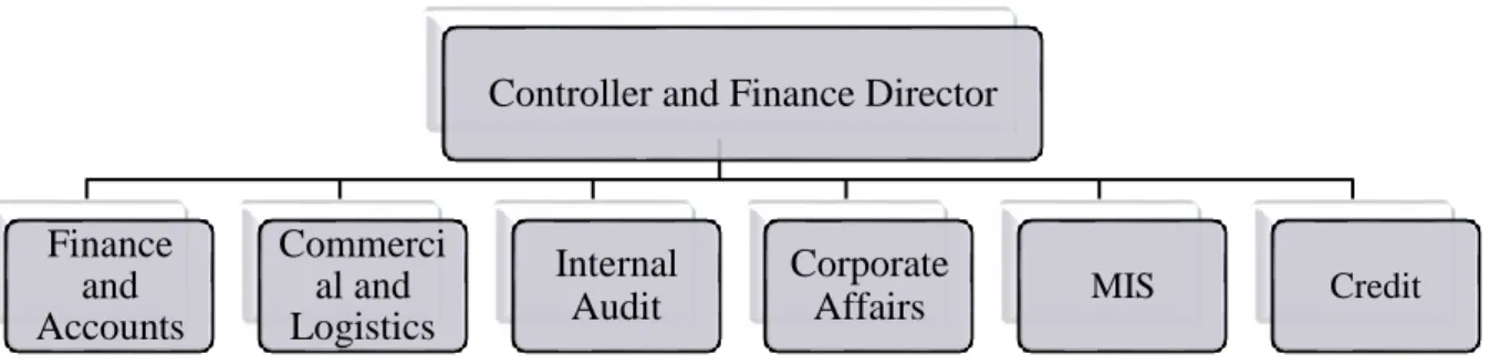 Figure 2: Structure of Finance Department  3.4.1  Finance &amp;Accounts: 