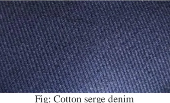 Fig: Cotton serge denim 