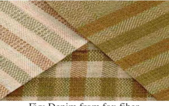 Fig: Denim from fox fiber 