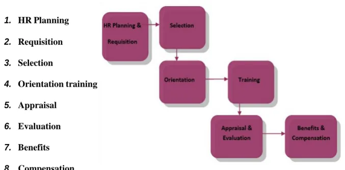 Figure 4.1: HR Management Process 