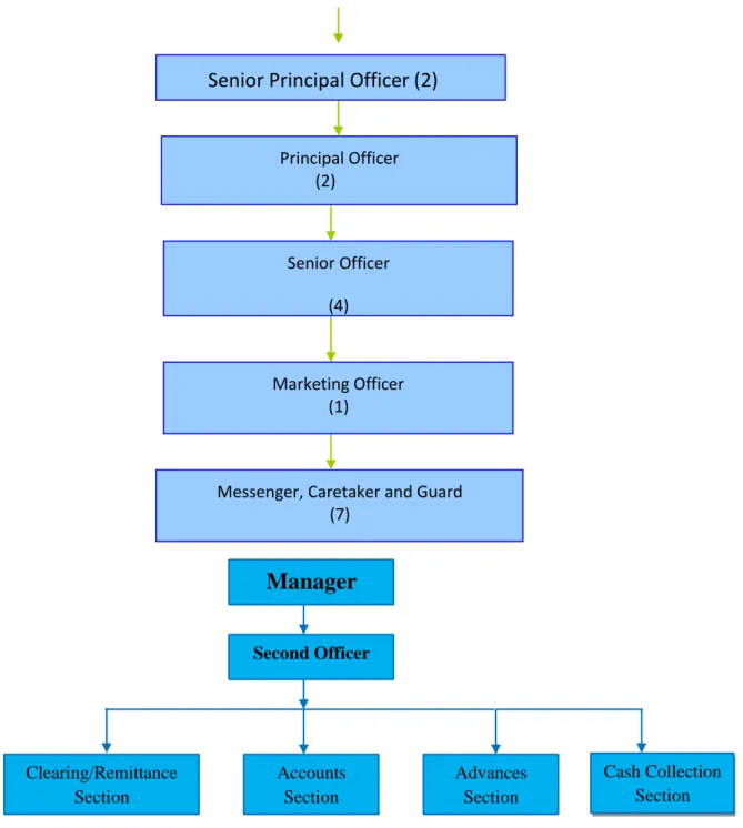 Figure No.3.1: Organizational Structure of RUET Branch, Rajshahi   3.5 General Banking  