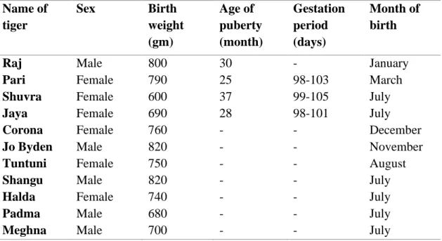 Table 3: Cubbing history of tigresses in Chattogram Zoo. 