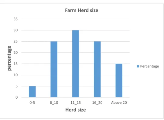 Figure 4. Herd size of sample farmers. 