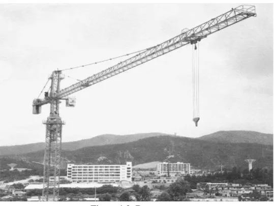 Figure 1.2: Boom crane 