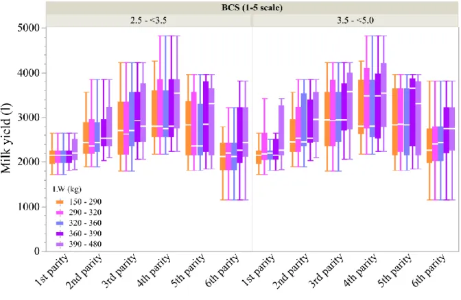 Figure  8.  Boxplot  showing  effects  of  live  weight  (kg)  on  milk  yield  (litter/lactation)  of  the  cross-bred dairy cattle (N=245)