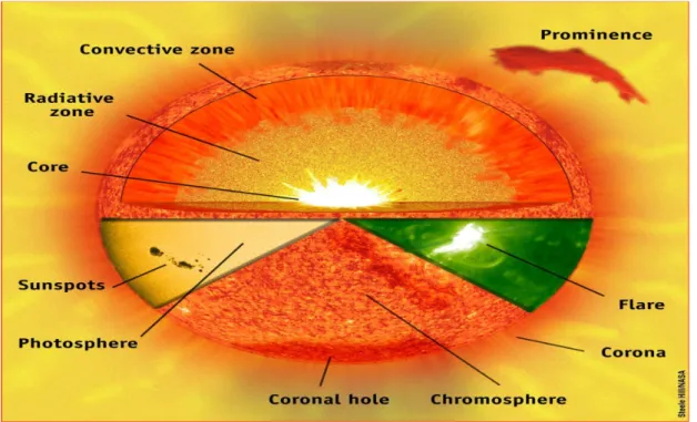 FIGURE 4.1 : The Sun with its Layer Structure [3].