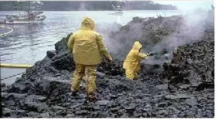Fig : (1.7)  Clean Oil Spills andGrease