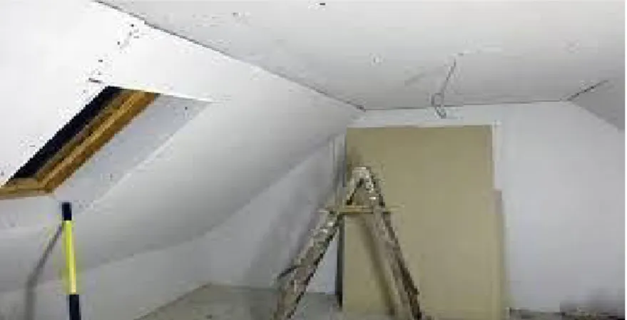 Fig : (2.0) Remove paint of bio fuel 