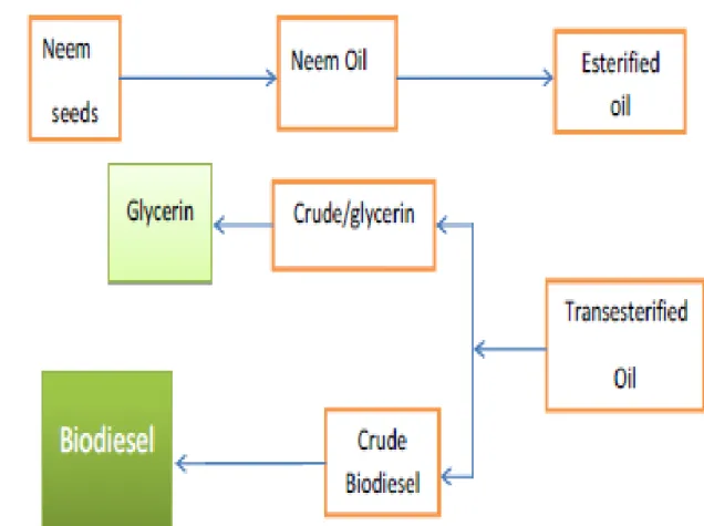 Fig : (2.3) Flow Chart Biofuel from Neem oil 