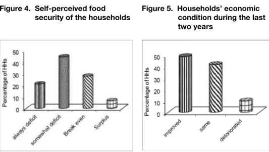 Figure 4.  Self-perceived food     security of the households 