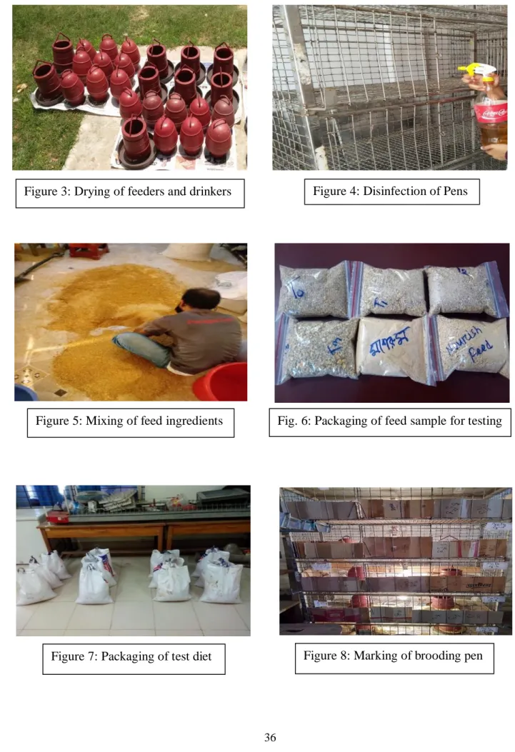 Figure 5: Mixing of feed ingredients  Fig. 6: Packaging of feed sample for testing 