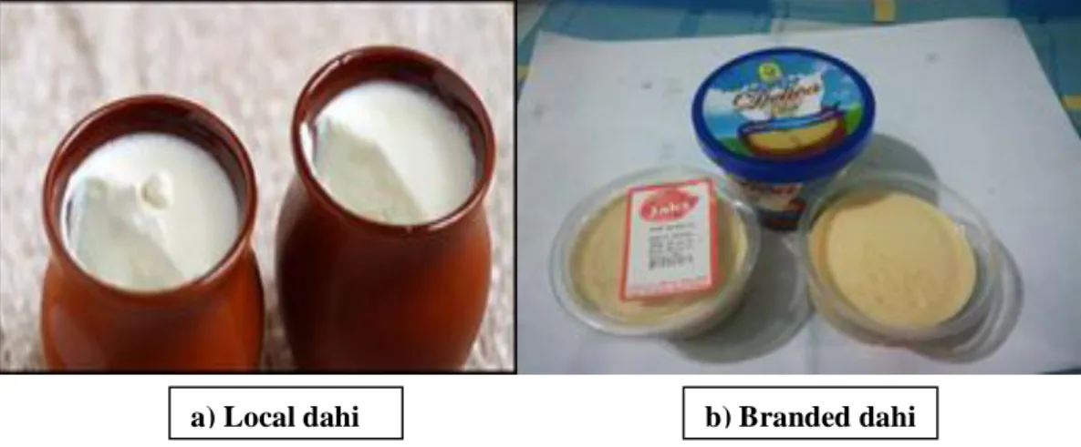 Figure 5: Collection of dahi sample  3.5.2. Chemical analyses (Dahi) 