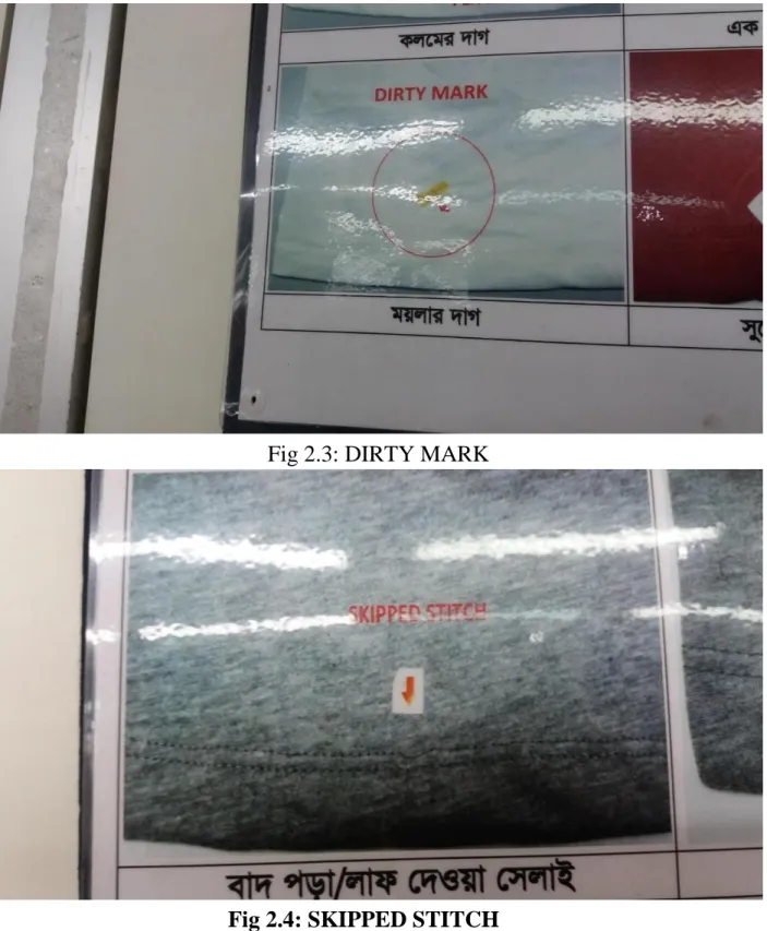 Fig 2.3: DIRTY MARK 