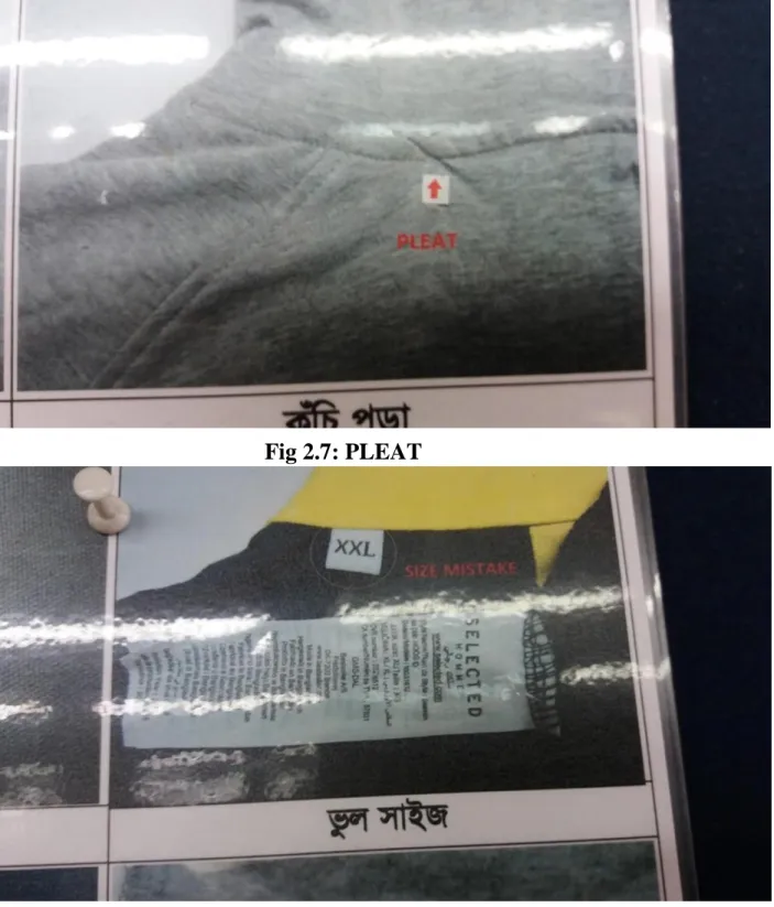 Fig 2.7: PLEAT 