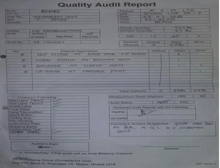 Fig 3.1:  Quality Audit report