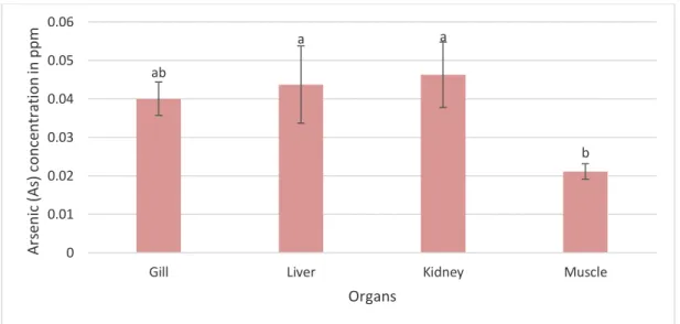 Figure 5: Arsenic Concentration in Fish Organs and Muscle. 